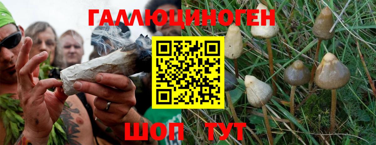 Псилоцибиновые грибы мухоморы Дятьково